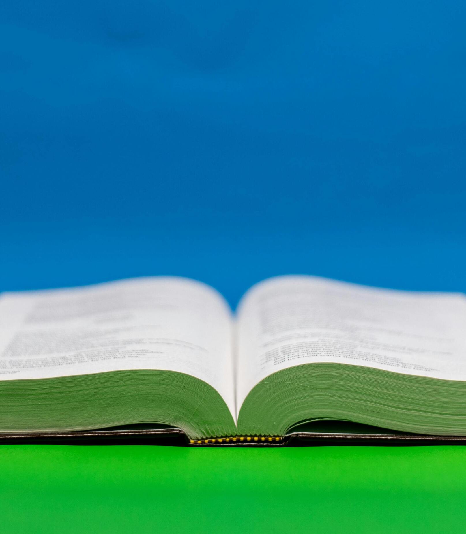 Buch "KI und Nachhaltigkeit im Vertrieb" mit dem Expertenbeitrag "Mensch und Maschine im Einklang" von Dennis Fischer und Andreas Straehler erscheint 2026 im Springer Gabler Verlag