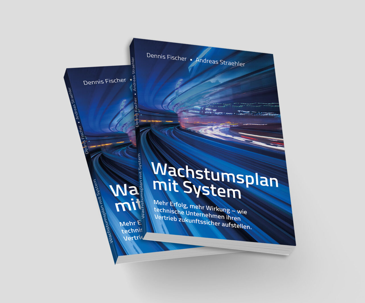 Praxis Buch Wachstumsplan mit System von Dennis Fischer und Andreas Straehler für den technischen Vertrieb 2 Exemplare